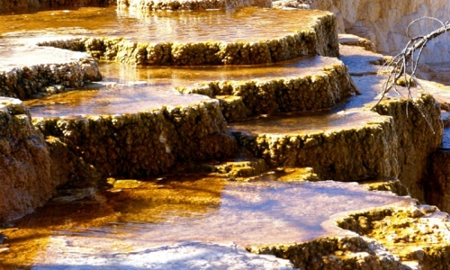 Wyoming Yellowstone National Park