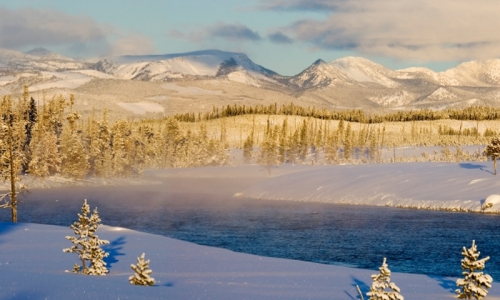 Yellowstone Park Wyoming