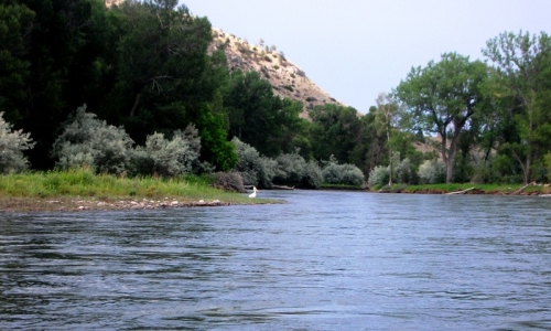 Clarks Fork of the Yellowstone River