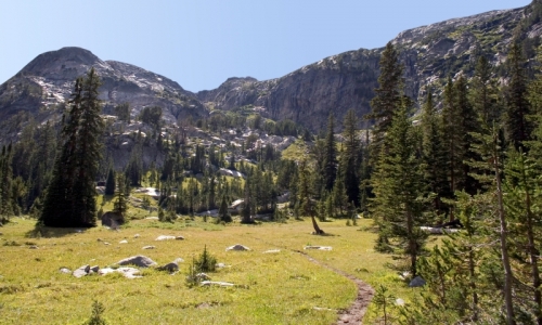 Cody Wyoming Trails
