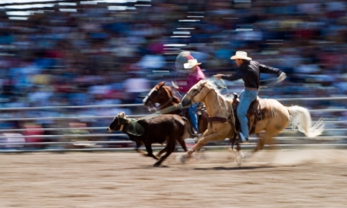 Cody Rodeo