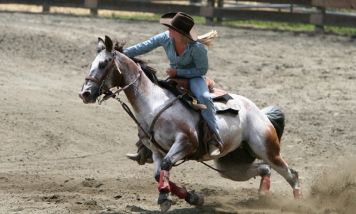 Cody WY Rodeo
