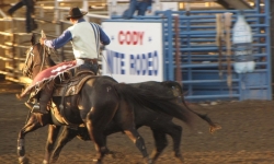 Cody Nite Rodeo Cody Nite Rodeo