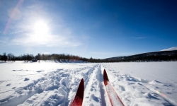 Cross Country Skiing Cross Country Skiing