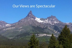 Big Moose Resort - Cabins and RV in Cooke City