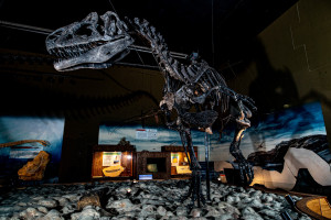 Visit Thermopolis WY | Dinos - Hot Springs & Fun