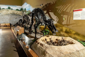 Visit Thermopolis for Wyoming's Dinosaur Museum