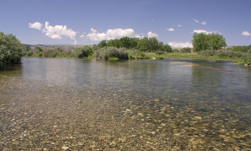 Bighorn River Fishing Montana