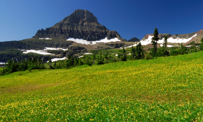 Glacier National Park Montana Garden Wall