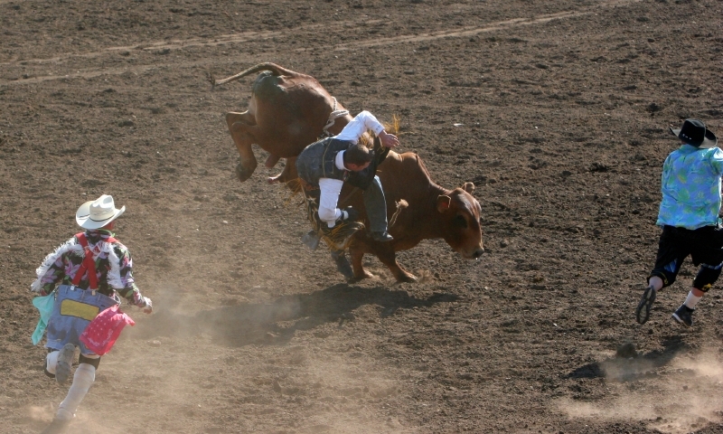 Rodeo