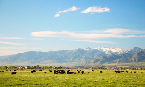Bozeman, Montana
