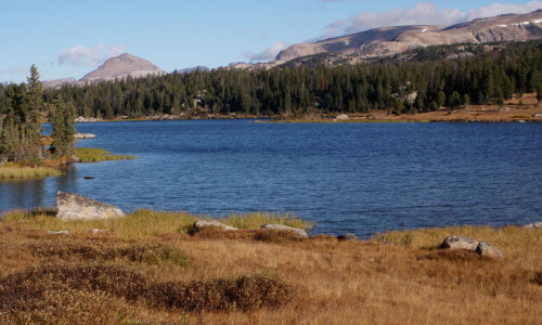 Island Lake