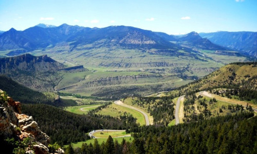 Shoshone Forest