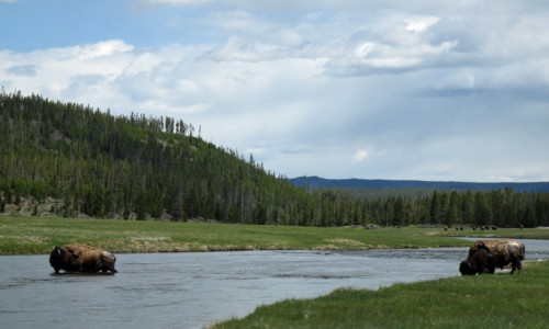 Basin Wyoming