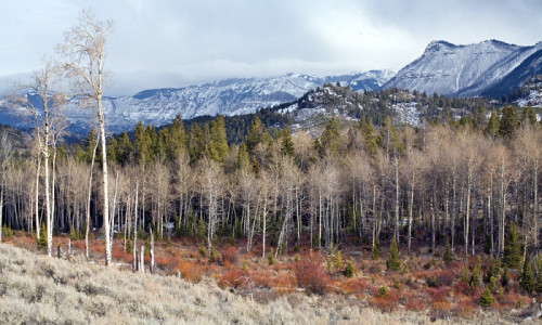 East Yellowstone, Wyoming